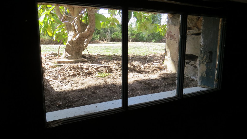 3.15.19 Light in the&nbsp;Darkness